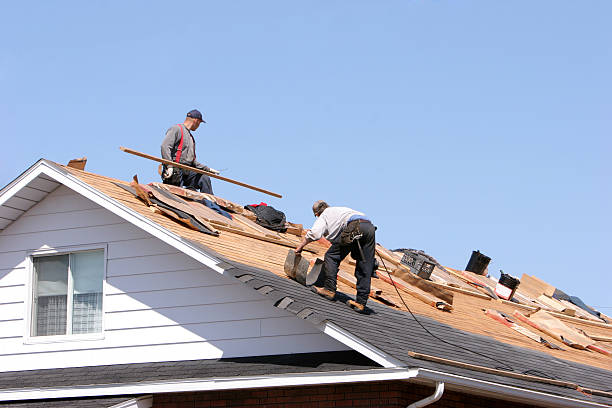 Best Emergency Roof Repair Services  in Heidelberg, TX